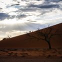 NAM HAR Dune45 2016NOV21 079 : 2016 - African Adventures, Hardap, Namibia, Southern, Africa, Dune 45, 2016, November